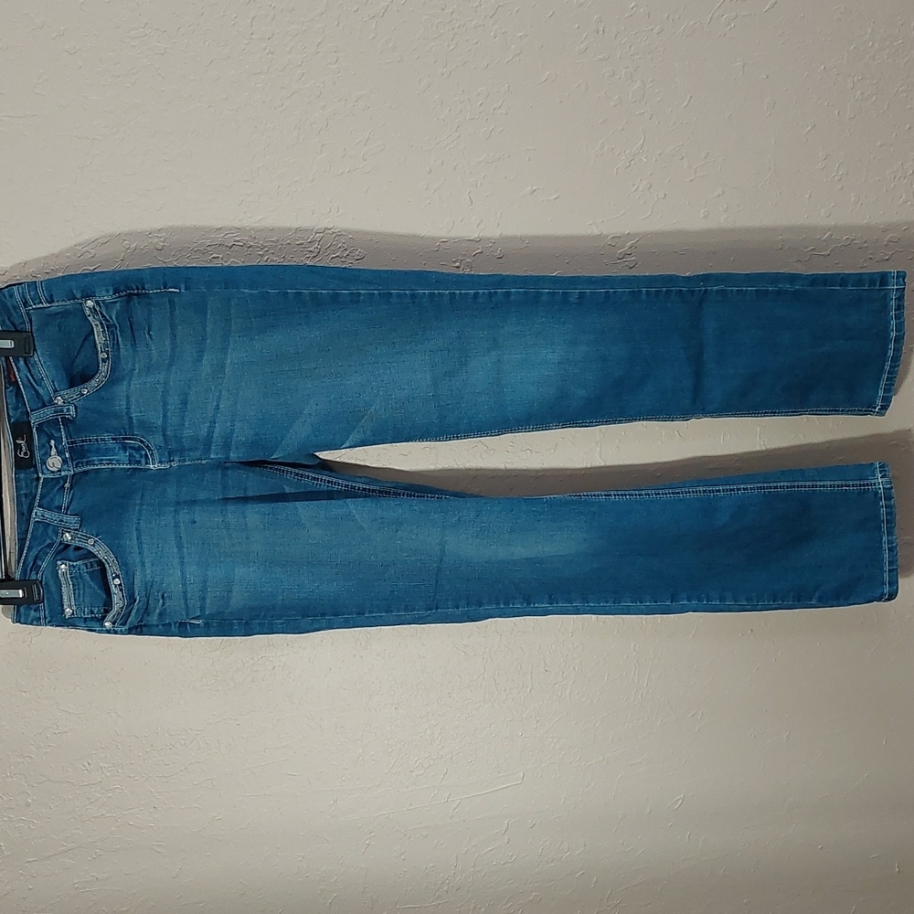 Earl Jeans straight leg blue jeans. Size 4.